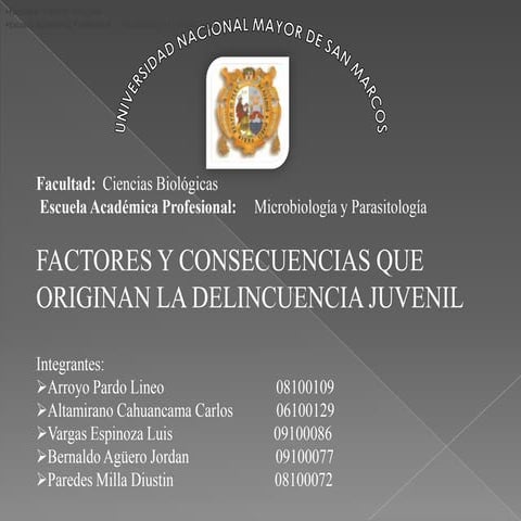 Factores y consecuencias que originan la delicuencia juvenil parte 1. Grupo 3