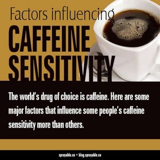 Top Factors Influencing Caffeine Se...