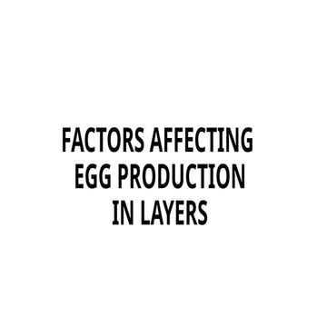 Factors affecting Factors   egg production.pptx