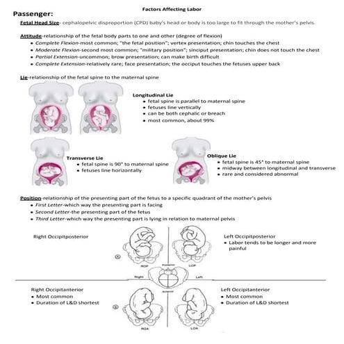 Factors affecting labor