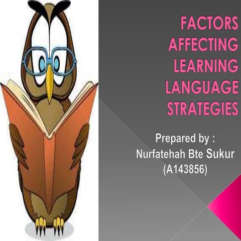 Factors affecting learning language strategies