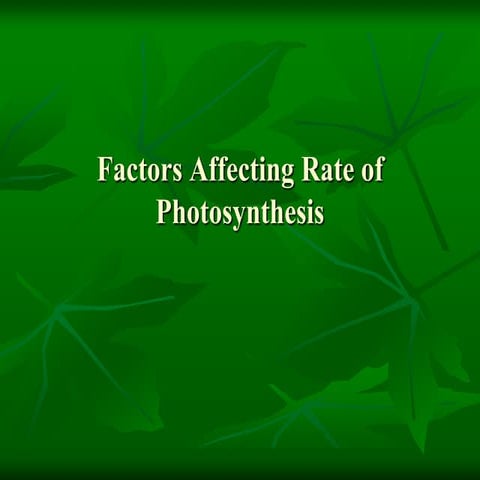 Factors Affecting Photosynthesis