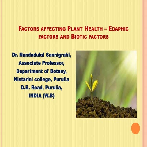 Pollen wall Structure and Male Germ Unit in Plants | PDF