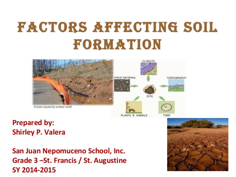 Factors affecting soil formation