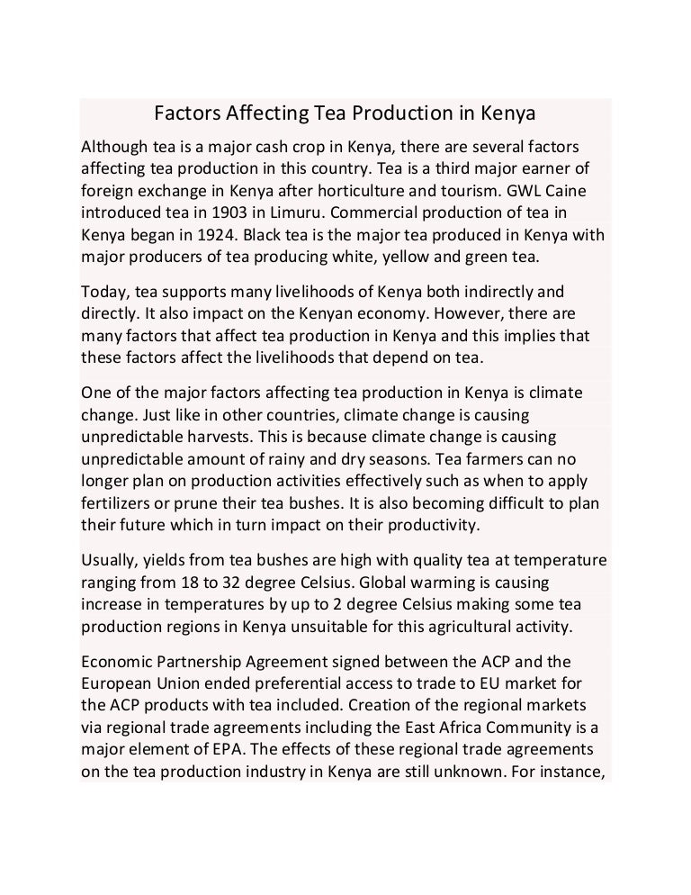 bestessayservices com factors affecting economic