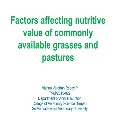 Nutritional Value Of Native Grasses – FVPDY