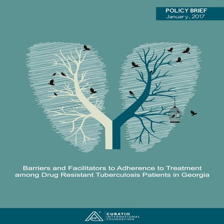 Factors associated to adherence to DR-TB treatment in Georgia, Policy ...