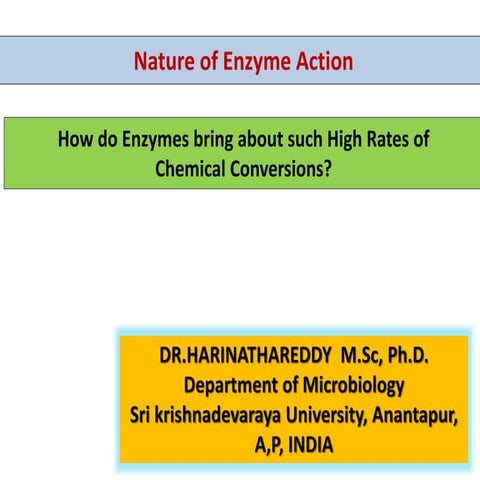 Factors effect enzyme function