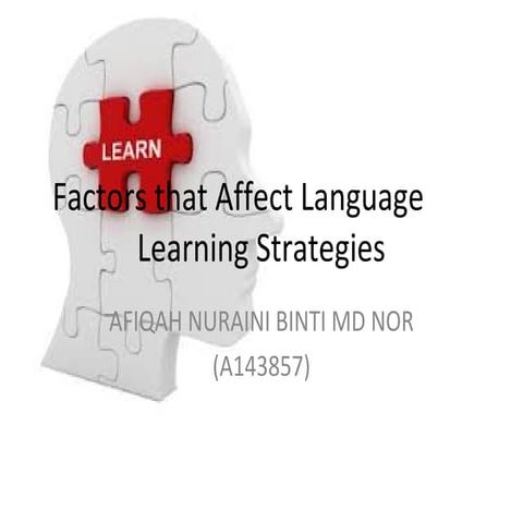 Factors that affect language