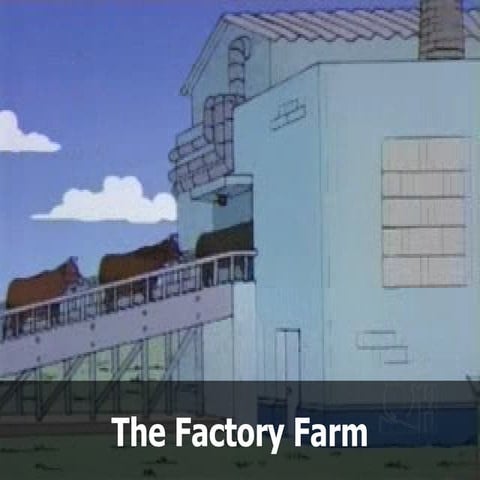 Factory Farming