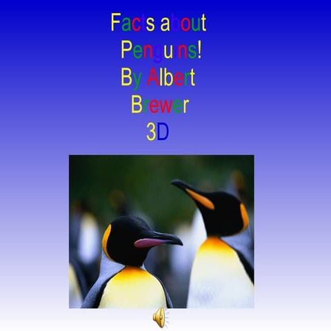 Facts about penguins!