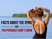 Facts About The Spine That You Prob...