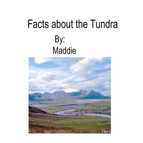 Facts About The Tundra Brigger