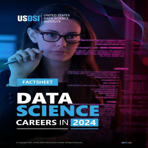 Factsheet: Data Science Careers in 2024