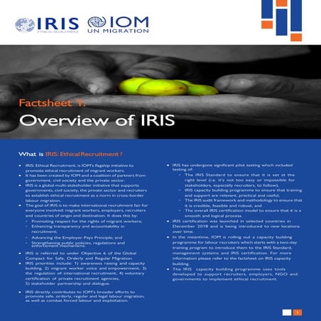 Taylor Amarel Factsheet 1 Overview Of IRIS 2020 pdf