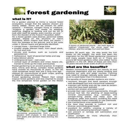 Forest Gardening - Low Impact