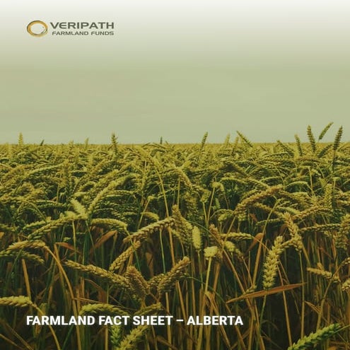 Canadian Farmland - Alberta Provincial Fact Sheet