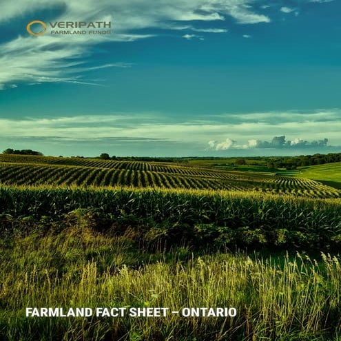 Canadian Farmland - Ontario Provincial Fact Sheet