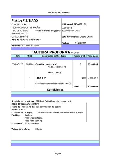 ejemplo de factura proforma blog