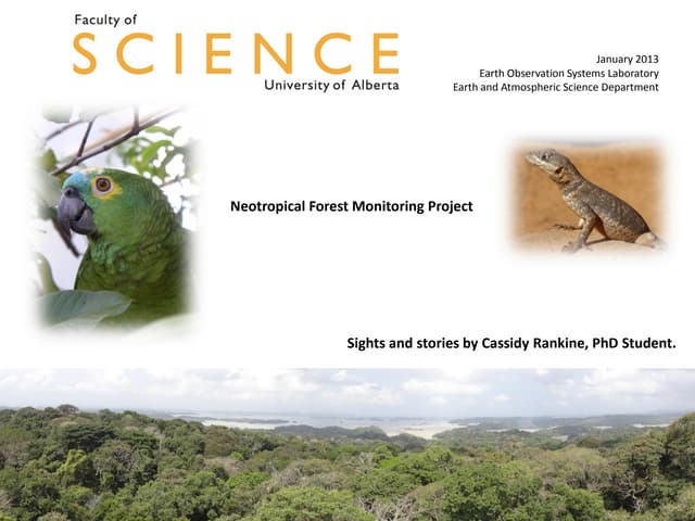 Neotropical Forest Monitoring Initiative - A Photo Perspective