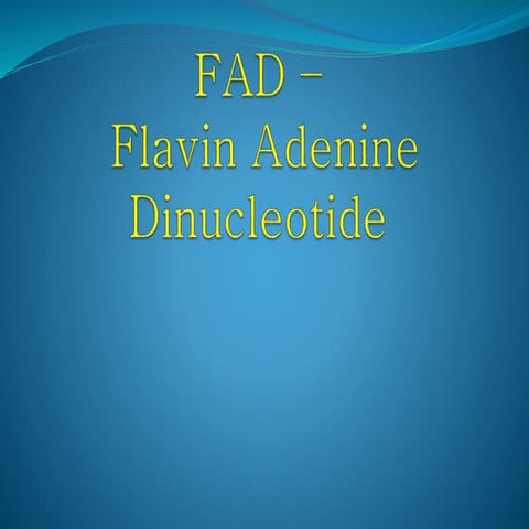 Fad – Flavin Adenine Dinucleotide