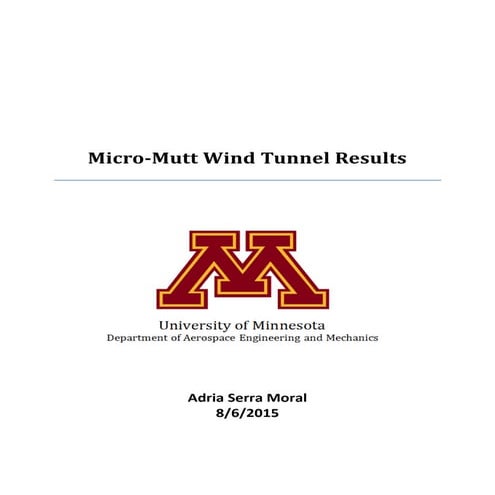 Mutt_Wind_Tunnel_Results_v2