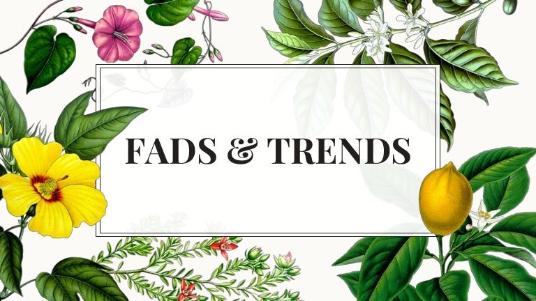fads-and-trends