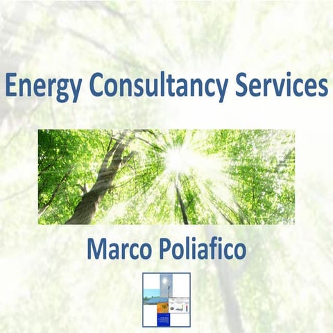 Marco Poliafico - Consultancy Services
