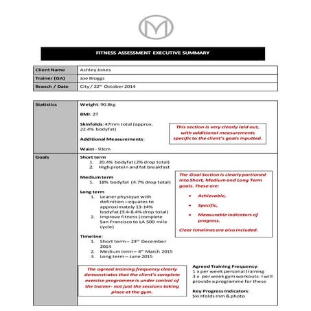 Executive Summary Example 