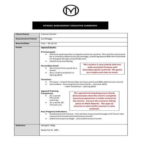 Executive Summary Example 