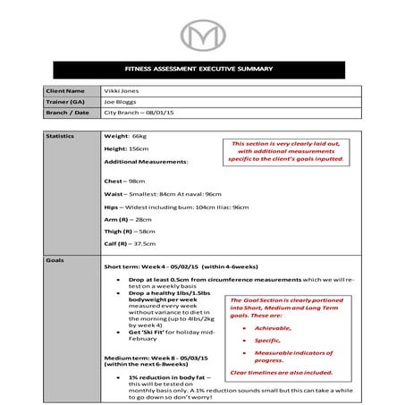 Executive Summary Example 