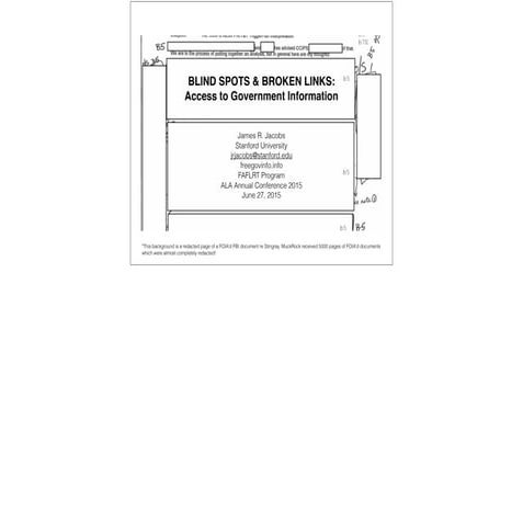Blind Spots and Broken Links: Access to Government Information
