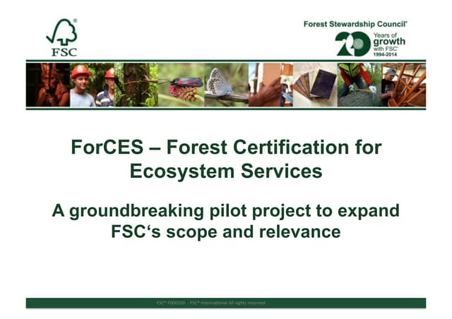 ForCES – Forest Certification for Ecosystem Services - A groundbreaking pilot project to expand FSC‘s scope and relevance