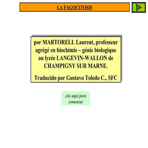 Fagocitosis-Martorell