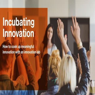 Incubating Innovation