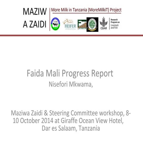 Faida Mali progress report