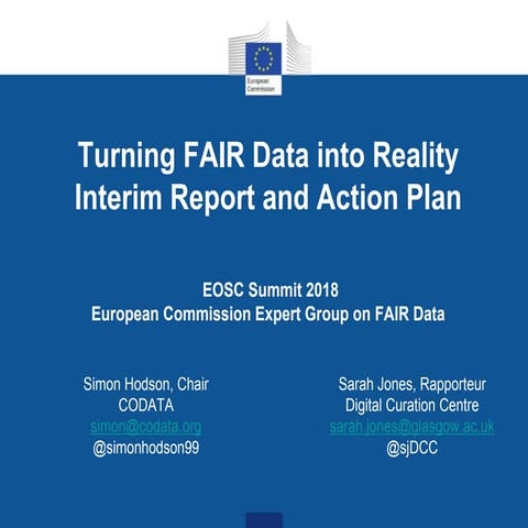 FAIR Data Interim Report and Action Plan