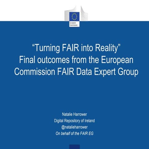 Turning FAIR into Reality - Key Concepts in the EC FAIR Data Expert Group Report