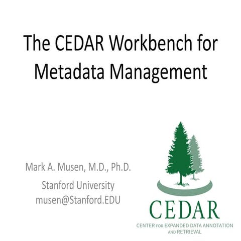 CEDAR work bench for metadata management