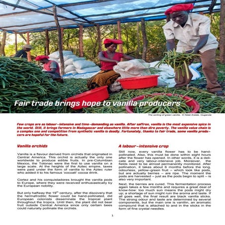 Processing of Vanilla. | PPTX