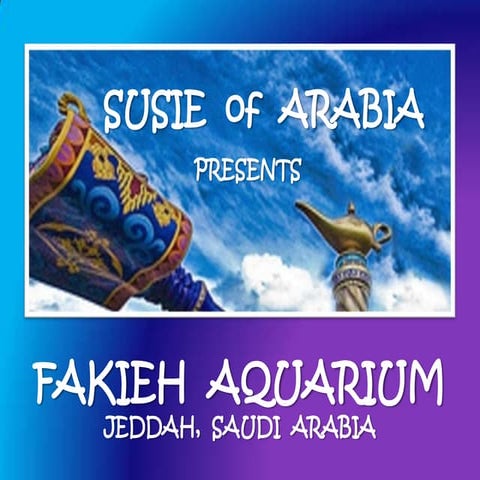 Fakieh Aquarium - Jeddah, Saudi Arabia