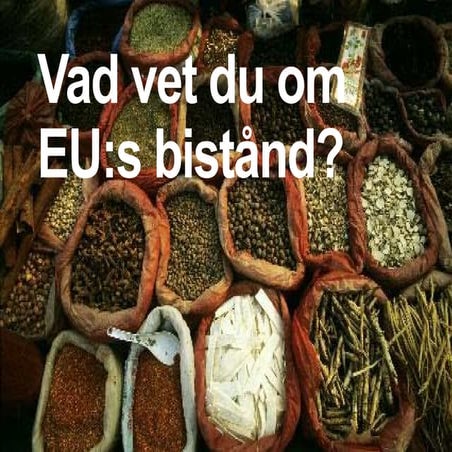 Vad vet du om EUs bistånd? Testversion