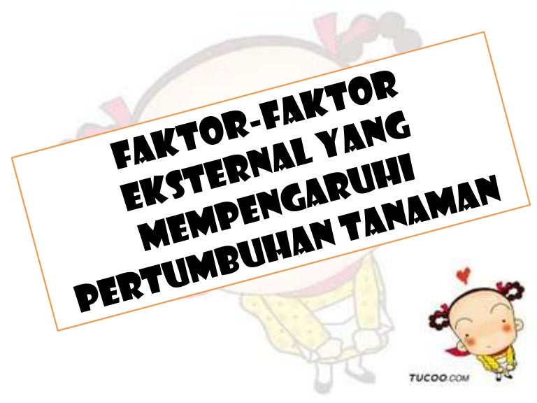Faktor Faktor Eksternal Yang Mempengaruhi Pertumbuhan Tanaman