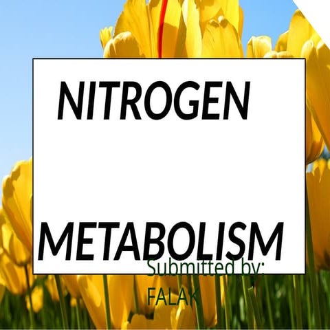 WHAT IS NITROGEN METABOLISM IN BIOCHEMISTRY visual data 3