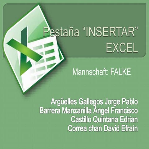 Pestaña, "Insertar" de excel.