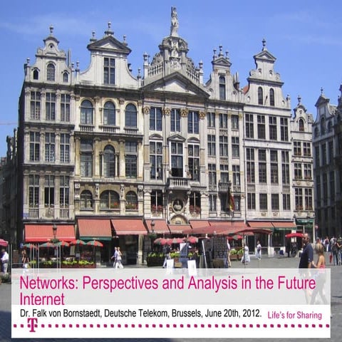 Falk von bornstaedt   networks perspectives and analysis in the future intern...