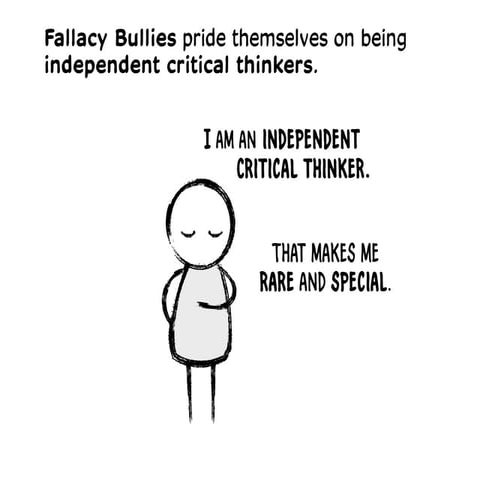 Beware the Fallacy Bully