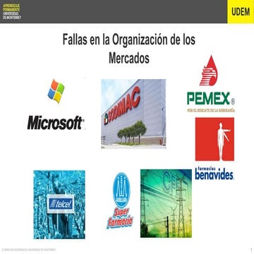 Fallas en la Organización de los Mercados_NE.pptx