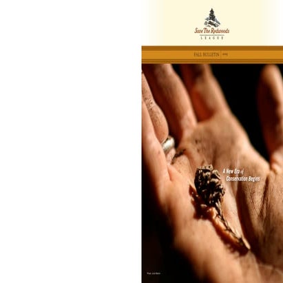 Fall bulletin 2008 ~ save the redwoods league