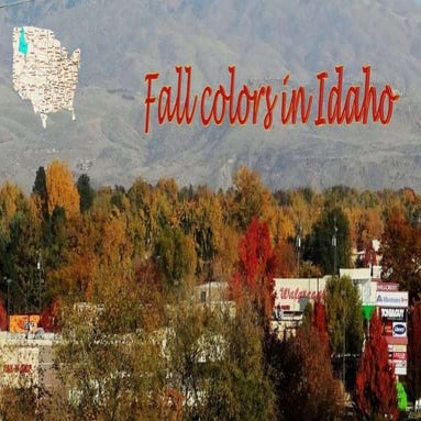 Fall Colors in Idaho  